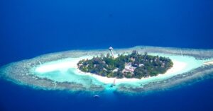 Tropical Coral Reef Ecosystems - Ocean Ambassadors