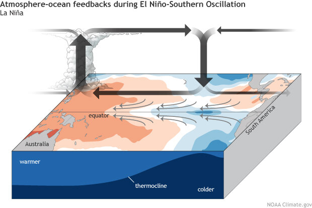 ENSO_diagram