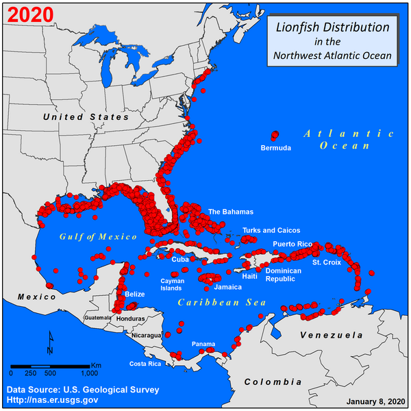 Lionfish distribution in North America